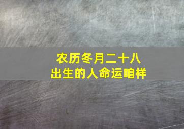 农历冬月二十八出生的人命运咱样