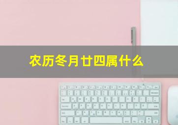 农历冬月廿四属什么