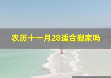 农历十一月28适合搬家吗