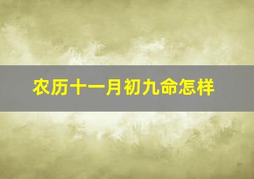 农历十一月初九命怎样