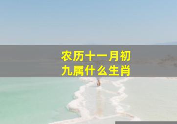 农历十一月初九属什么生肖