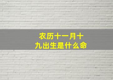 农历十一月十九出生是什么命