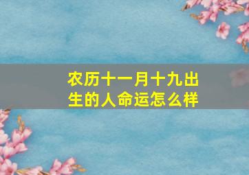 农历十一月十九出生的人命运怎么样