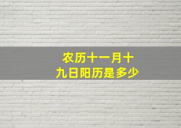 农历十一月十九日阳历是多少