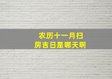 农历十一月扫房吉日是哪天啊