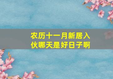 农历十一月新居入伙哪天是好日子啊