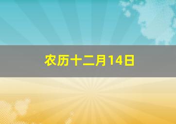 农历十二月14日