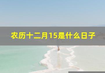 农历十二月15是什么日子