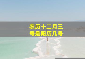 农历十二月三号是阳历几号