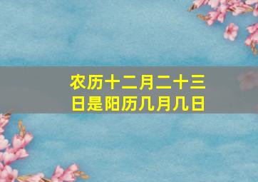 农历十二月二十三日是阳历几月几日