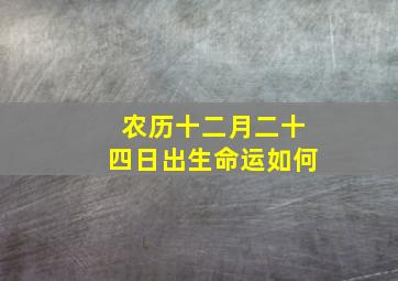 农历十二月二十四日出生命运如何