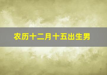 农历十二月十五出生男