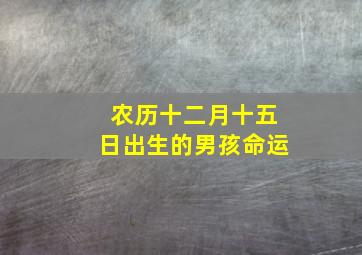 农历十二月十五日出生的男孩命运