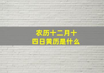 农历十二月十四日黄历是什么