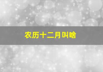 农历十二月叫啥