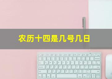 农历十四是几号几日