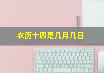 农历十四是几月几日