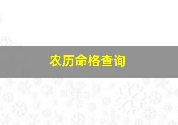 农历命格查询