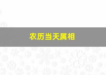 农历当天属相