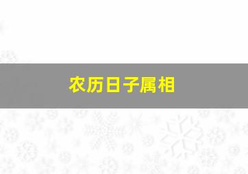 农历日子属相