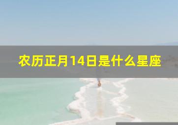 农历正月14日是什么星座