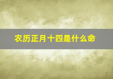 农历正月十四是什么命