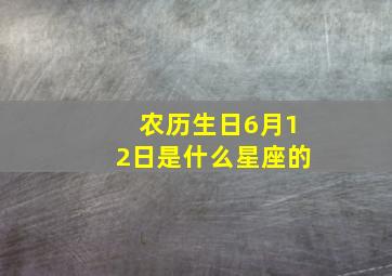 农历生日6月12日是什么星座的