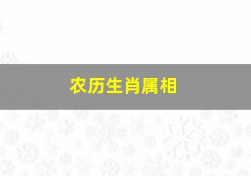 农历生肖属相