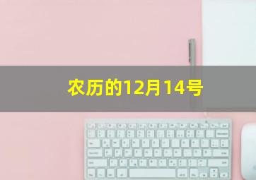 农历的12月14号