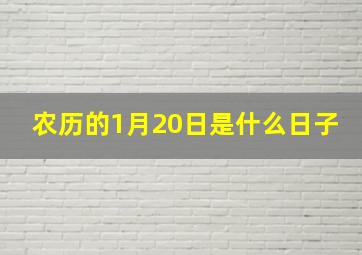 农历的1月20日是什么日子