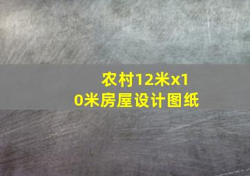 农村12米x10米房屋设计图纸