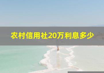 农村信用社20万利息多少