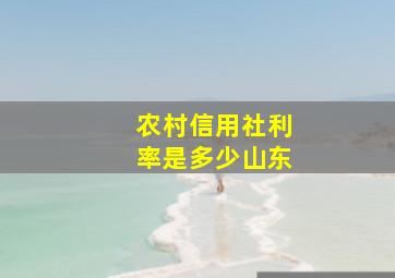 农村信用社利率是多少山东