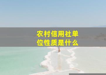 农村信用社单位性质是什么