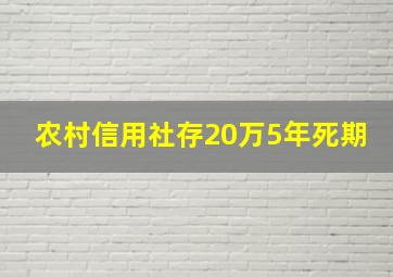 农村信用社存20万5年死期