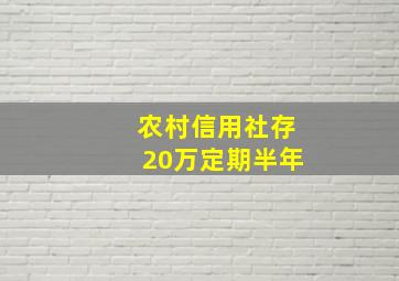 农村信用社存20万定期半年