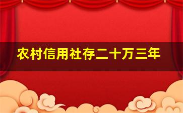 农村信用社存二十万三年