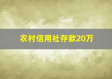 农村信用社存款20万