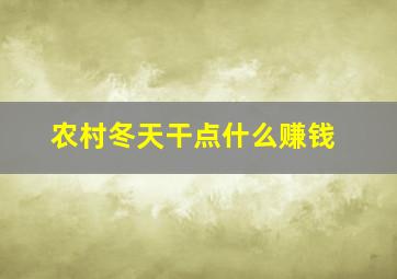 农村冬天干点什么赚钱