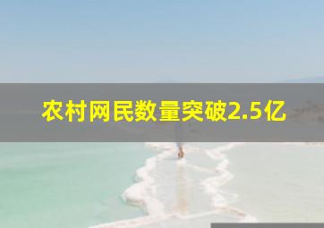 农村网民数量突破2.5亿