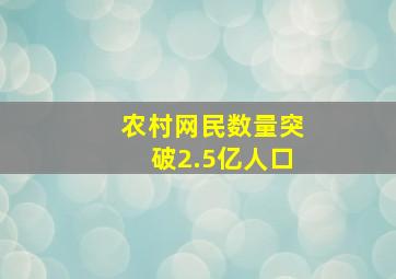 农村网民数量突破2.5亿人口