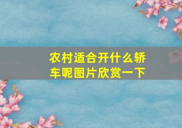 农村适合开什么轿车呢图片欣赏一下