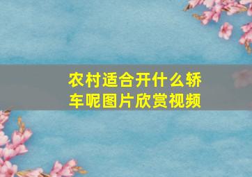 农村适合开什么轿车呢图片欣赏视频