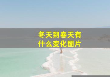 冬天到春天有什么变化图片