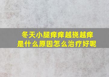 冬天小腿痒痒越挠越痒是什么原因怎么治疗好呢