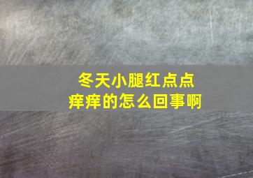 冬天小腿红点点痒痒的怎么回事啊