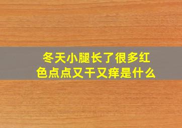 冬天小腿长了很多红色点点又干又痒是什么