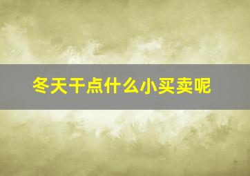 冬天干点什么小买卖呢