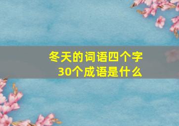 冬天的词语四个字30个成语是什么