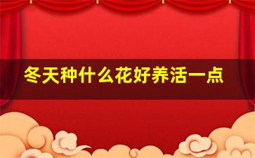 冬天种什么花好养活一点